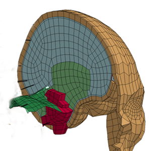 SUFEHM Model